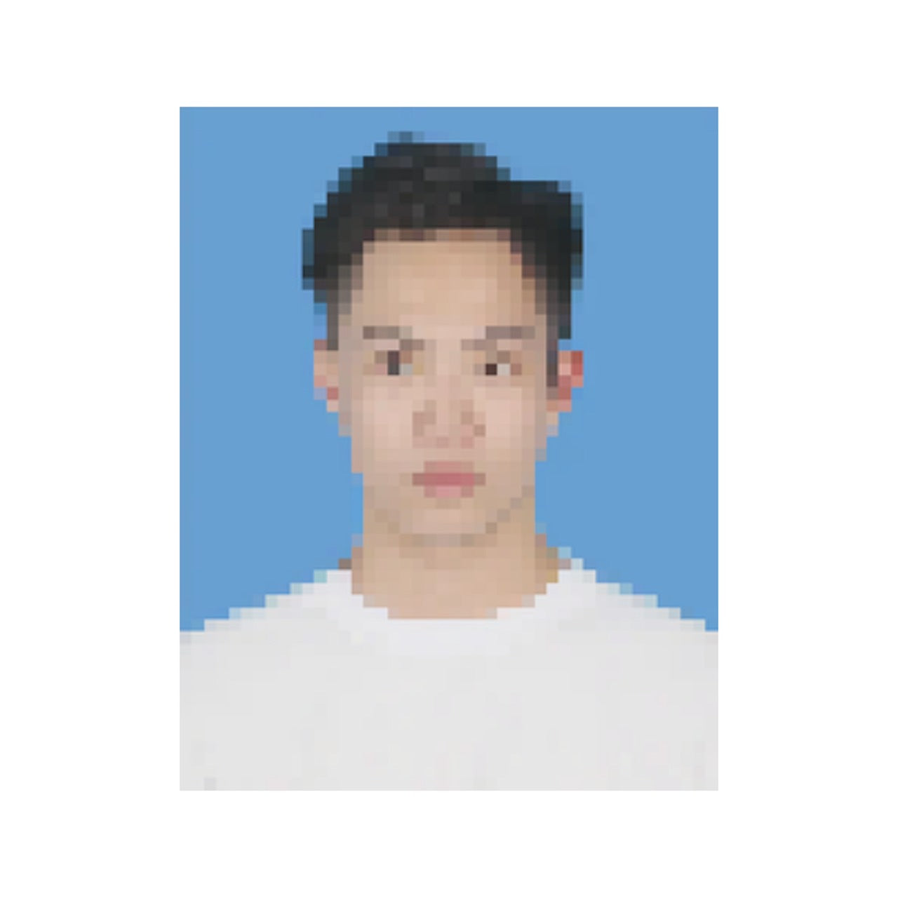 モザイク証明写真Tシャツ – Orizum.world