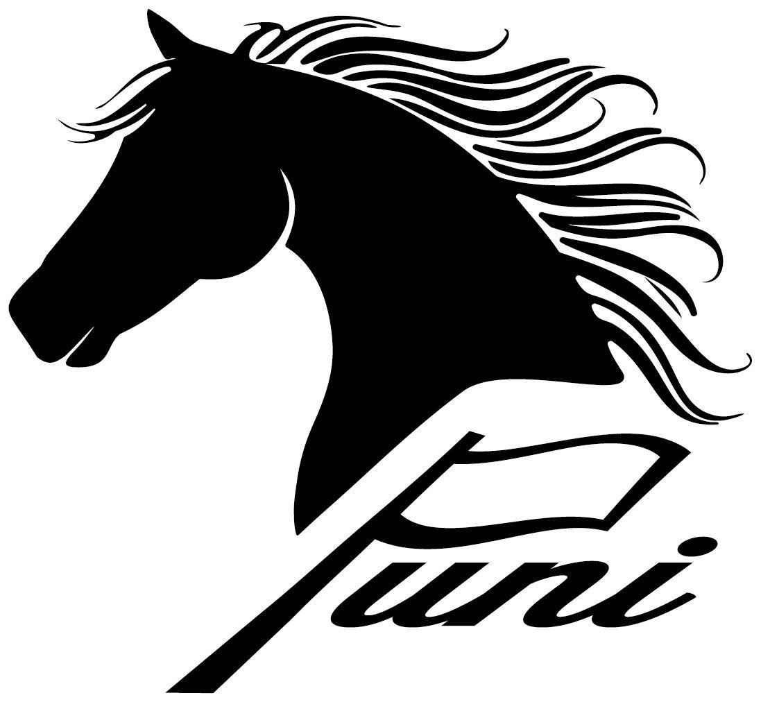 ①puni Tシャツ　Black