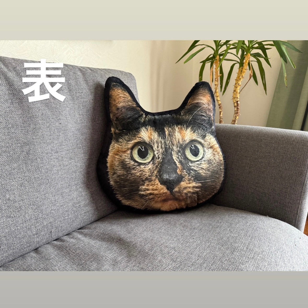 【数量限定】お得‼たっちゃんとみっちゃんクッション2個セット