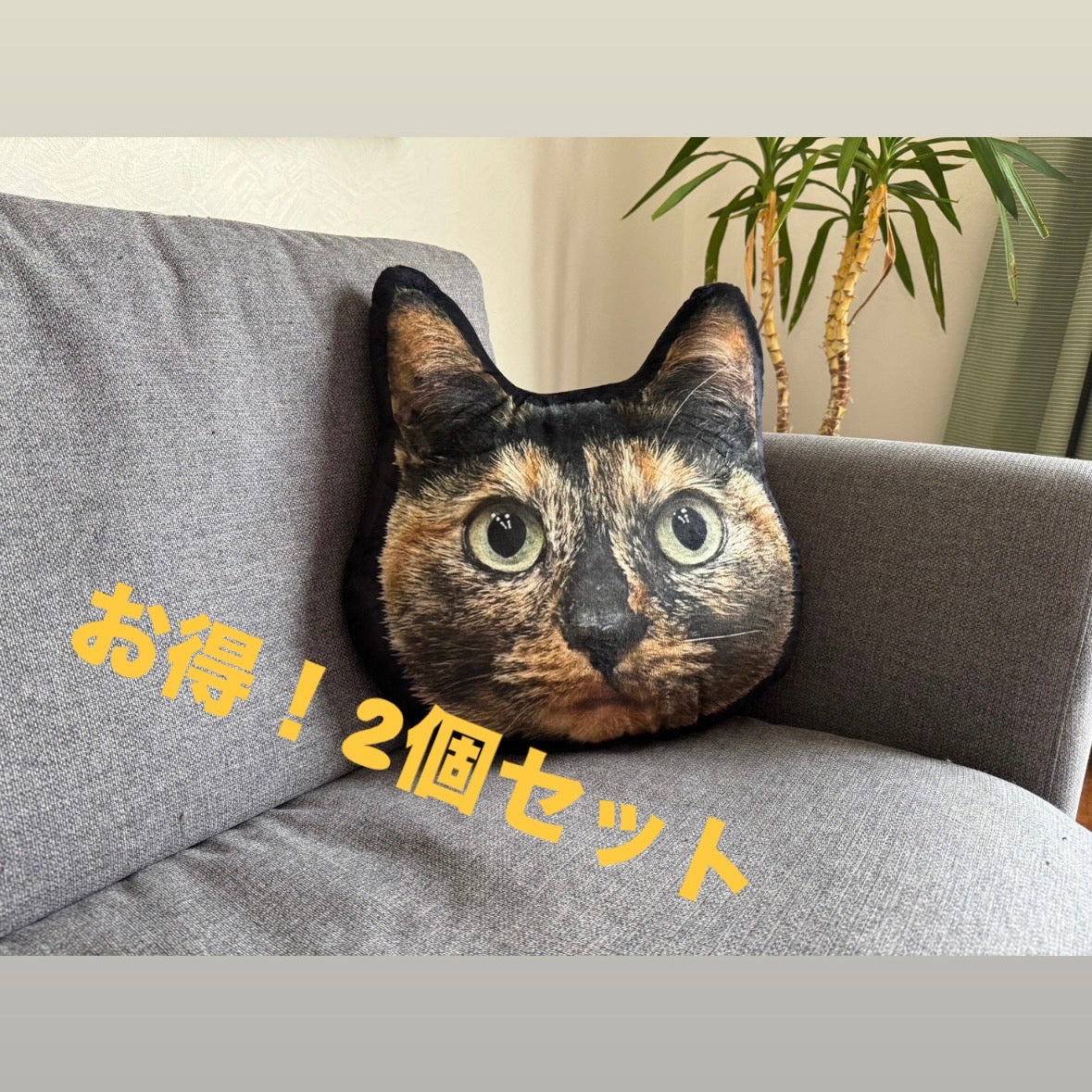 【数量限定】お得‼たっちゃんとみっちゃんクッション2個セット