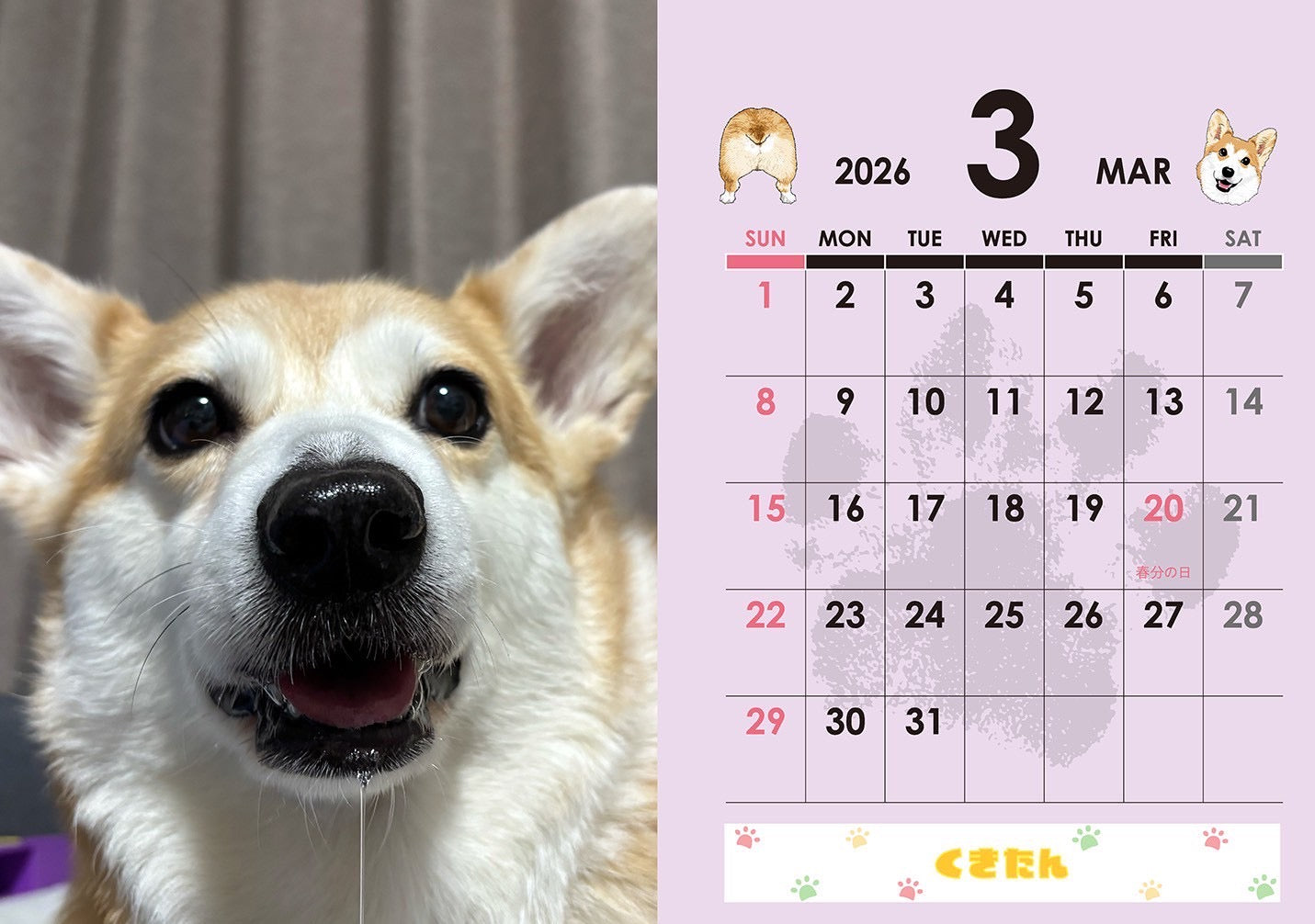 【数量限定】くきたんカレンダー(送料無料)