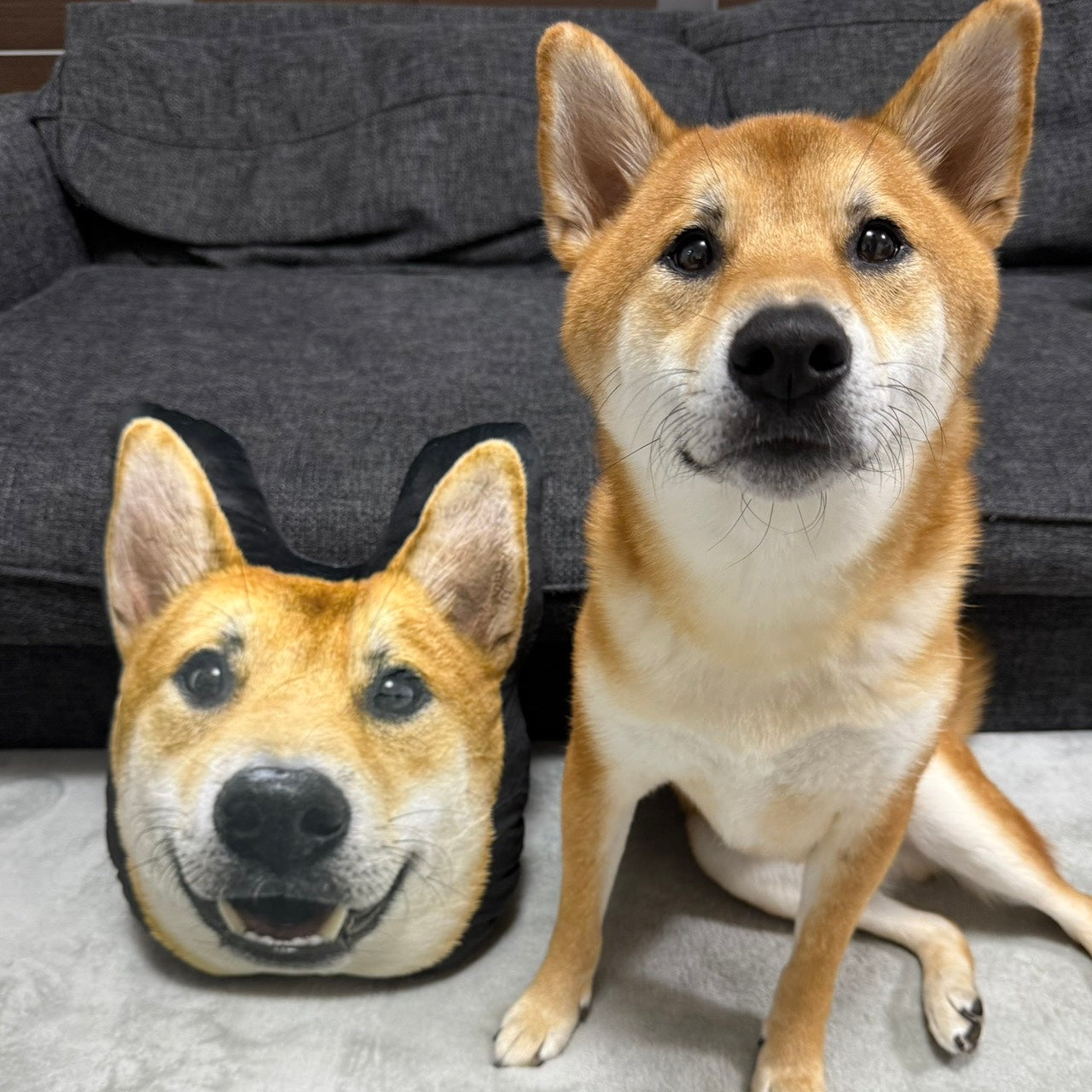 【数量限定】クセ柴兄弟クッション