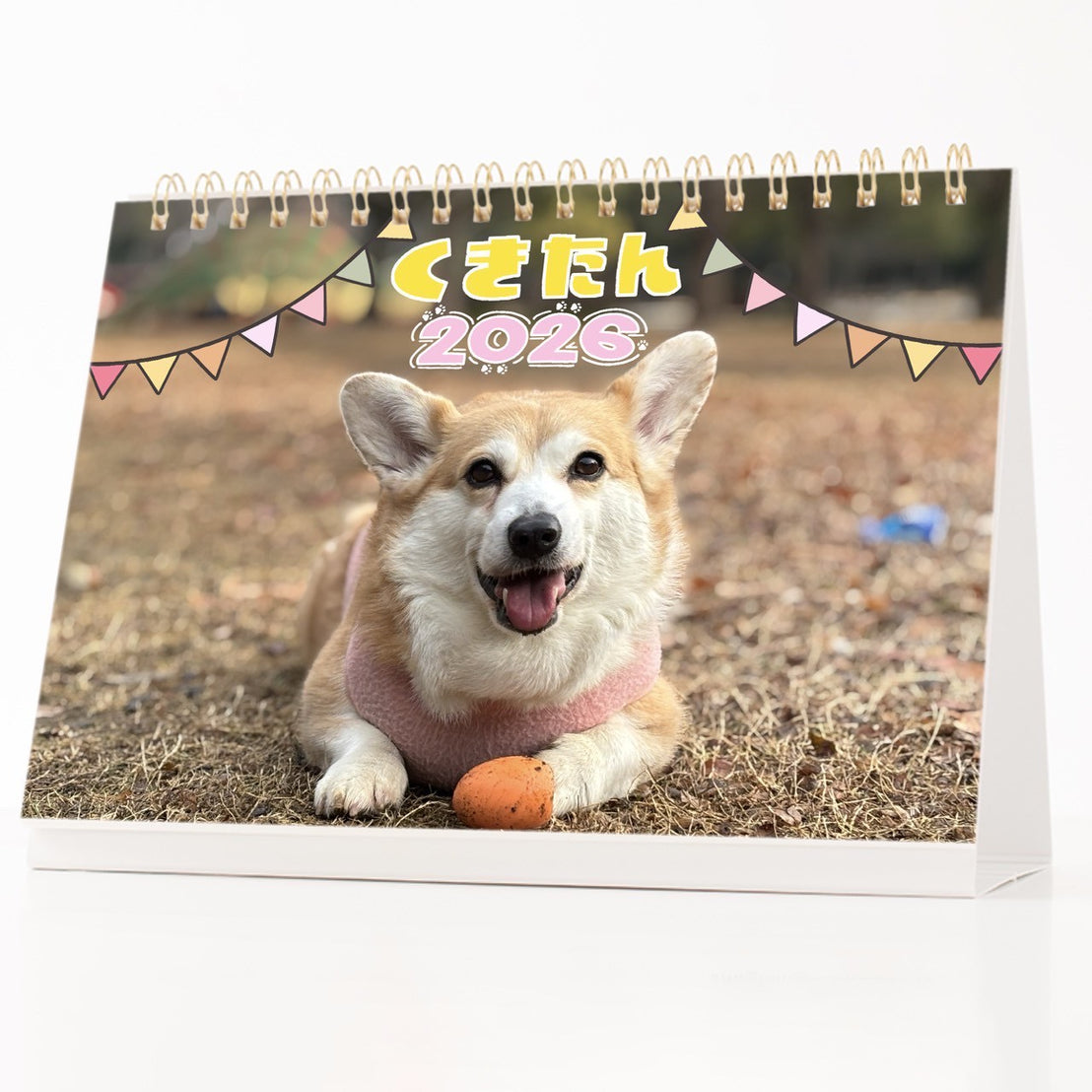 【数量限定】くきたんカレンダー(送料無料)