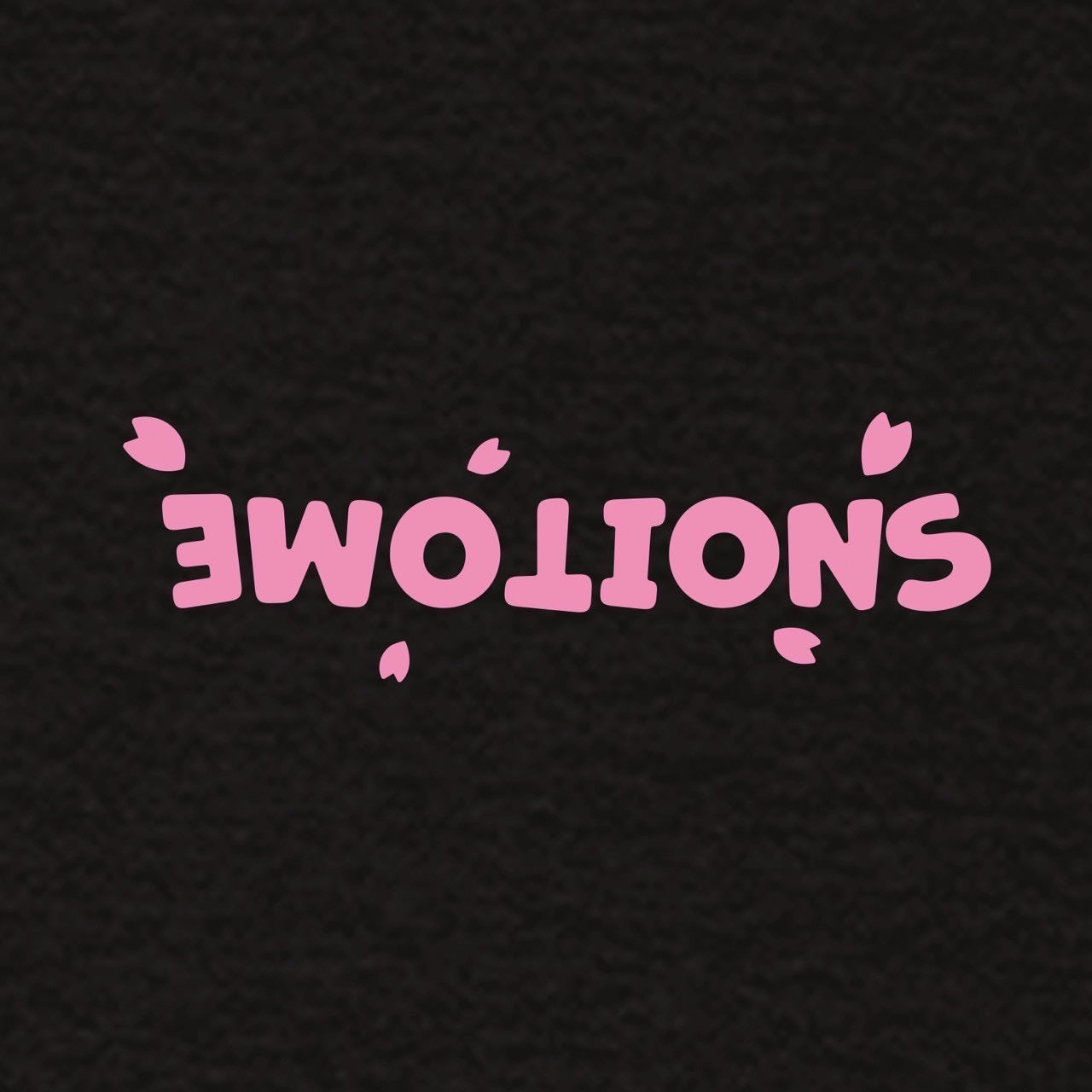 Ｔシャツ(ブラック)※数量限定※