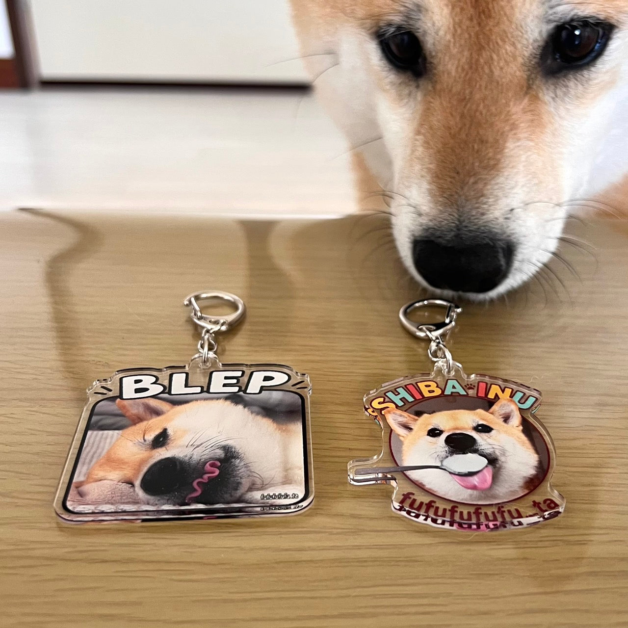 【お得🐾】アクキーセット『送料無料』