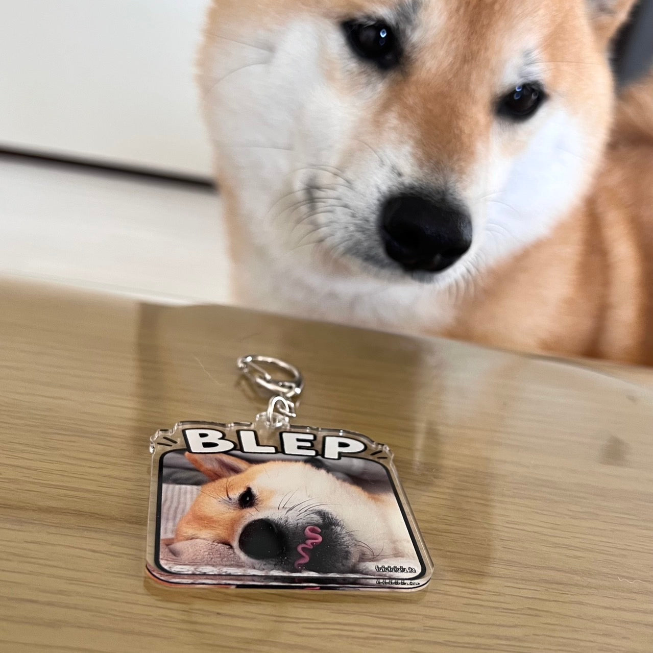 BLEPアクキー『送料無料』