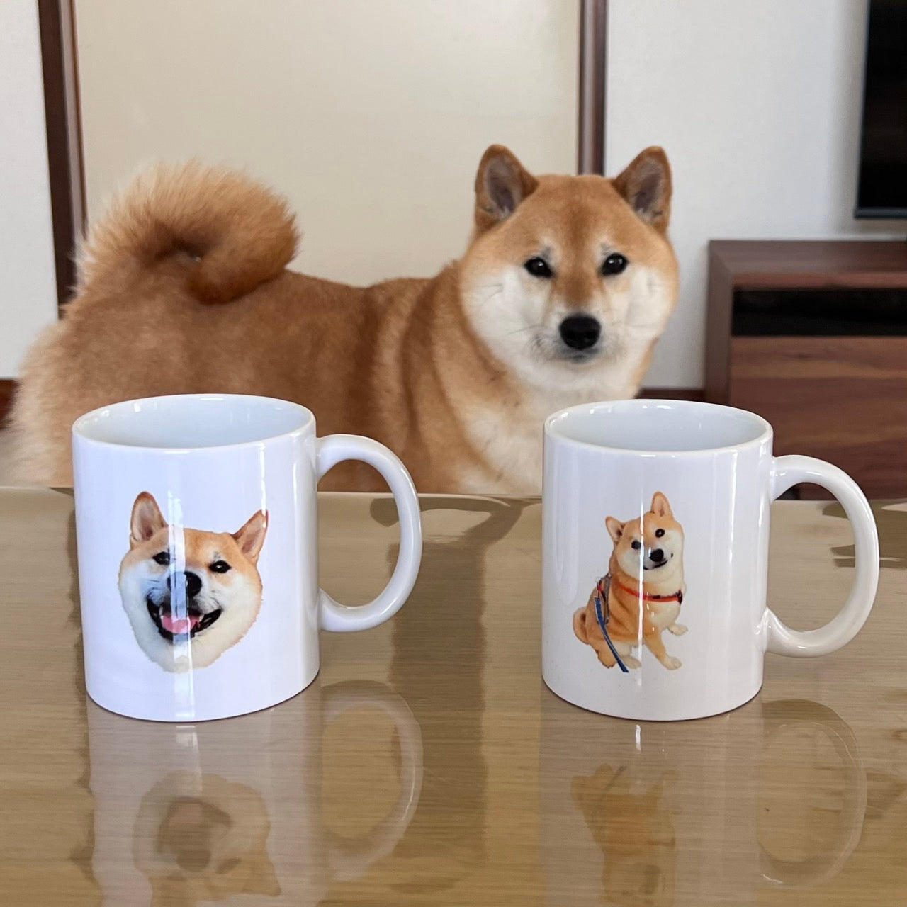 【お得🐾】マグセット