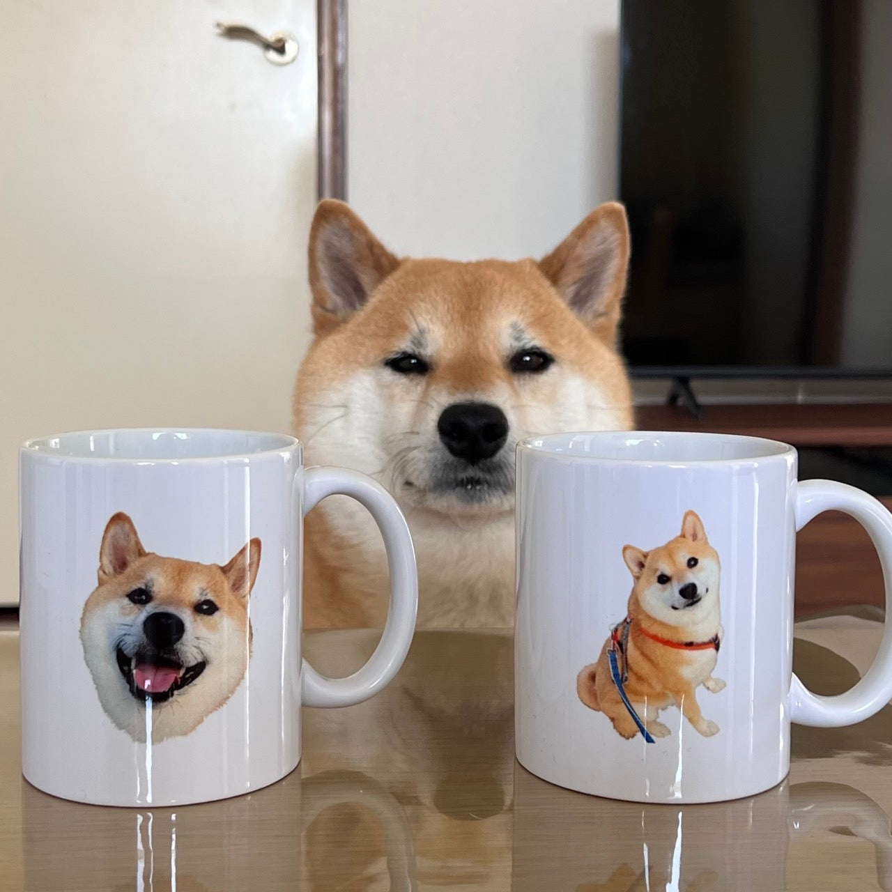 【お得🐾】マグセット