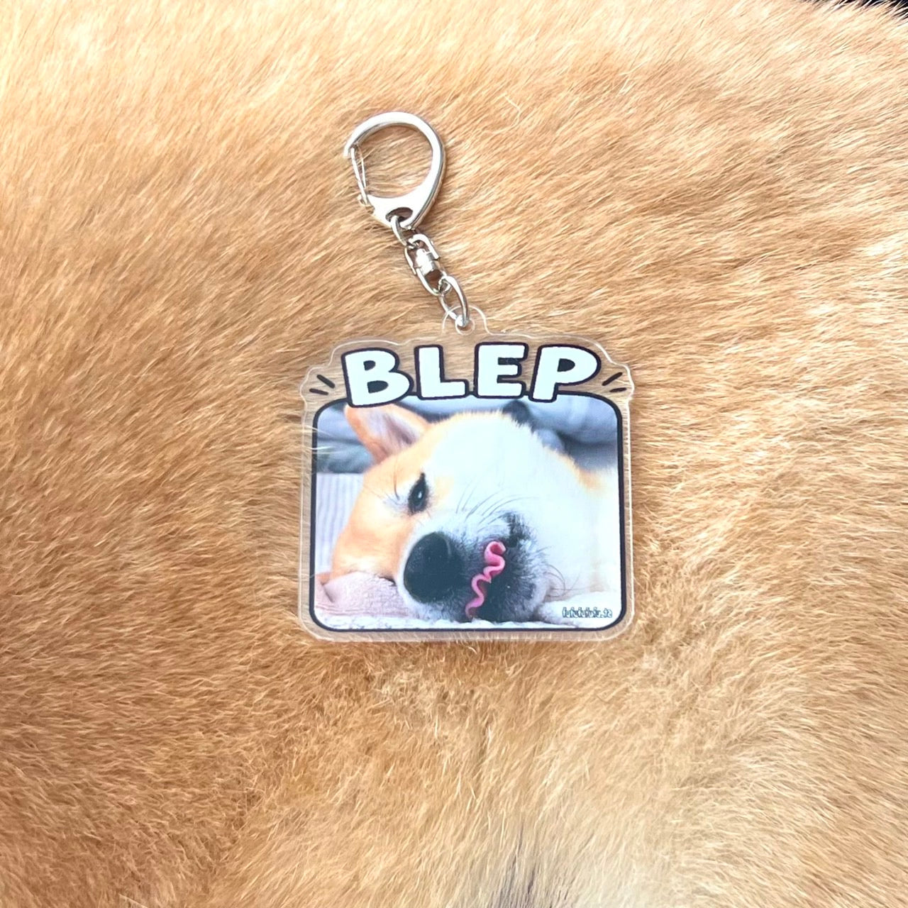 BLEPアクキー『送料無料』