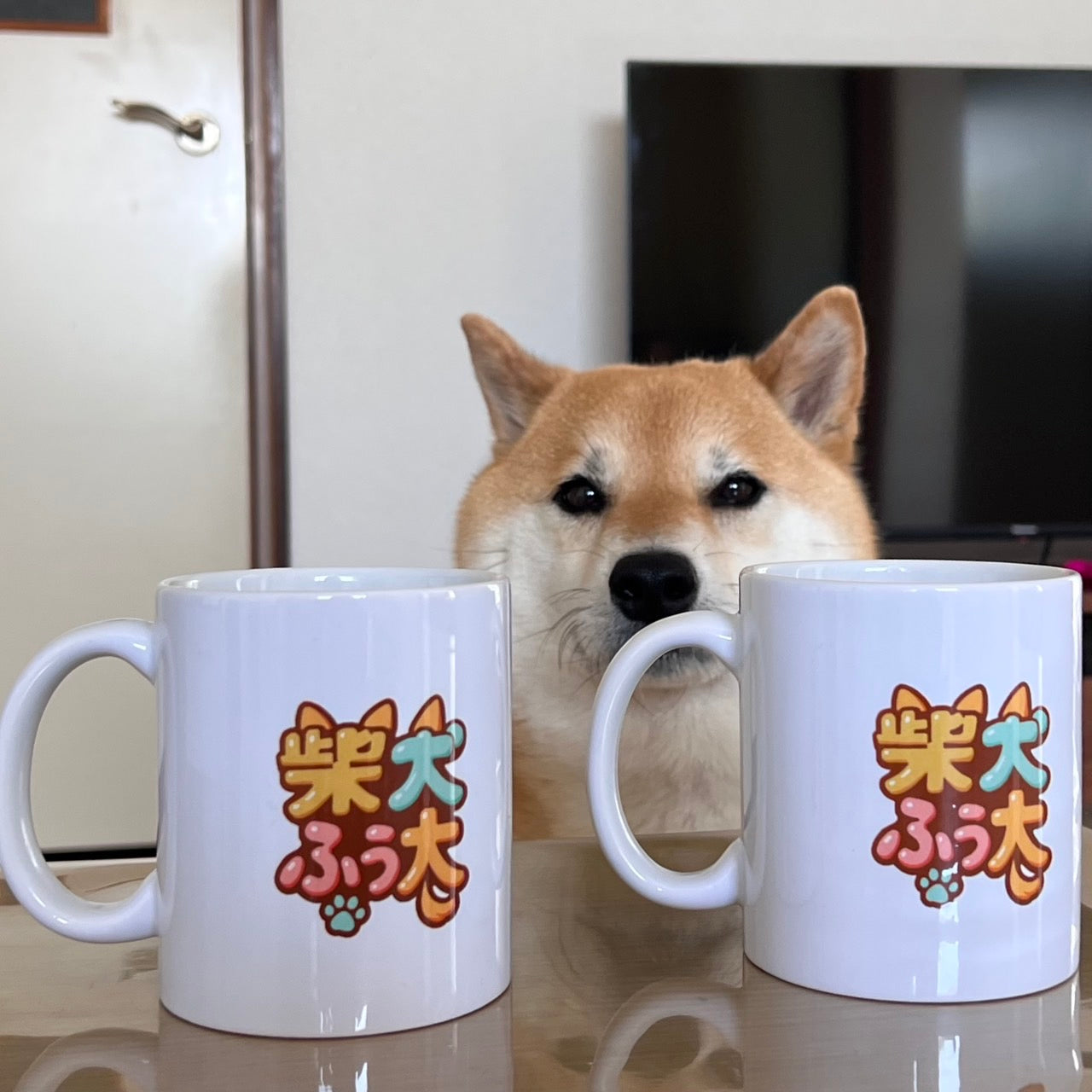 振り向きマグ