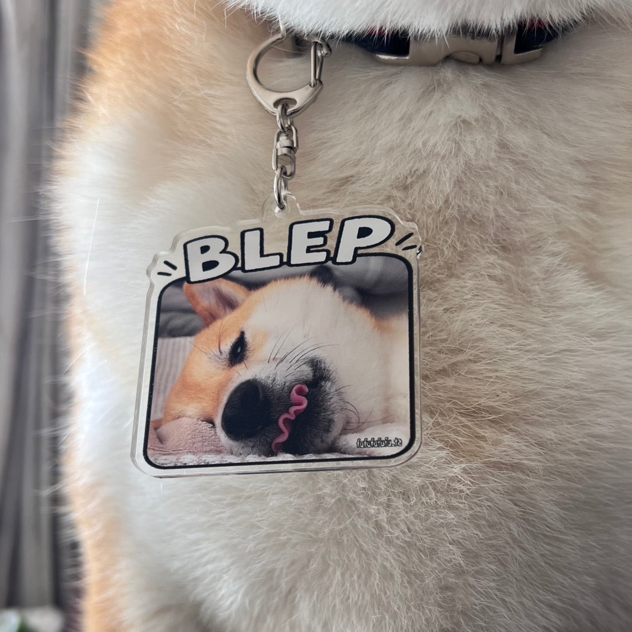 BLEPアクキー『送料無料』