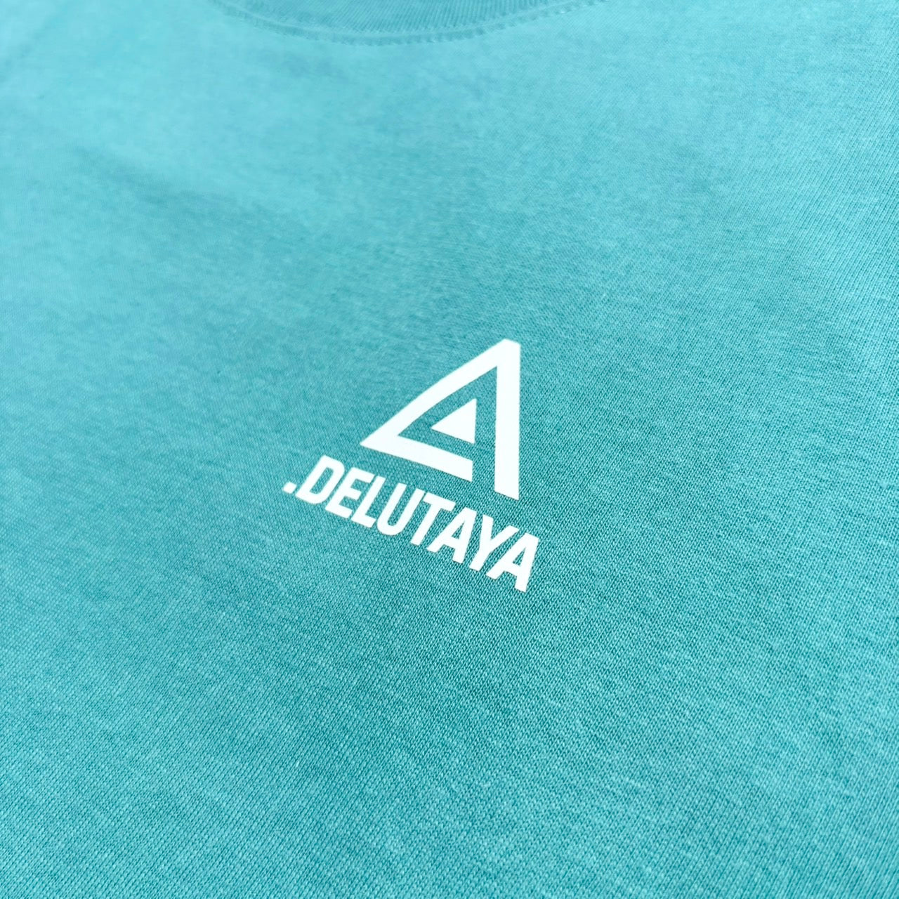 △.DELUTAYA T-shirt