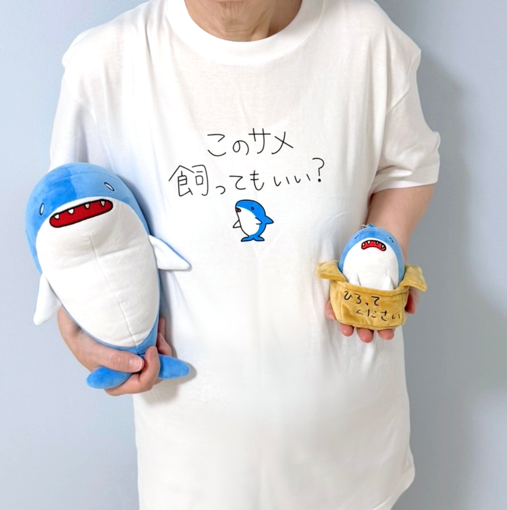サメセット – Orizum.world