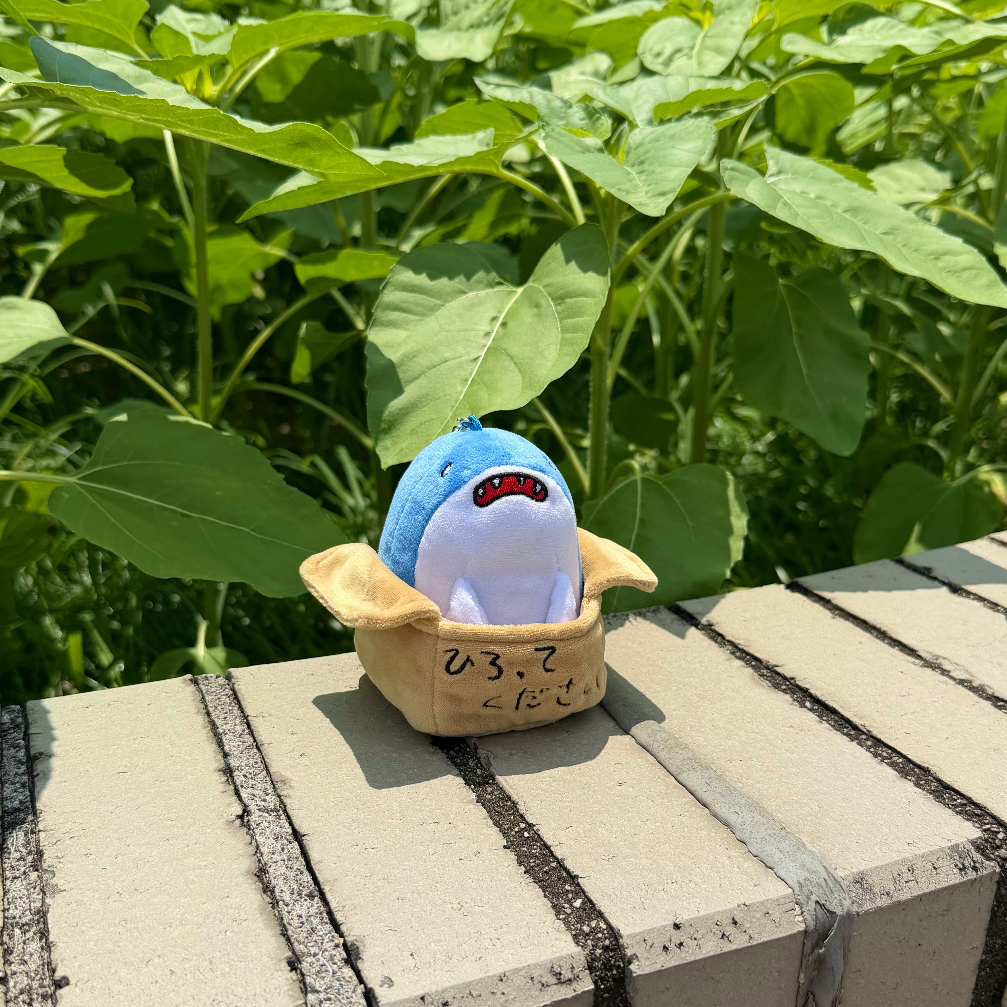サメぬいぐるみキーホルダー