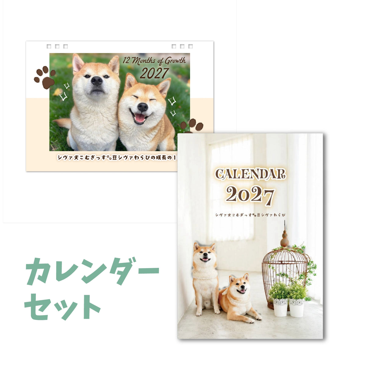 シヴァ犬こむぎっす🐾豆シヴァわらびのカレンダーセット