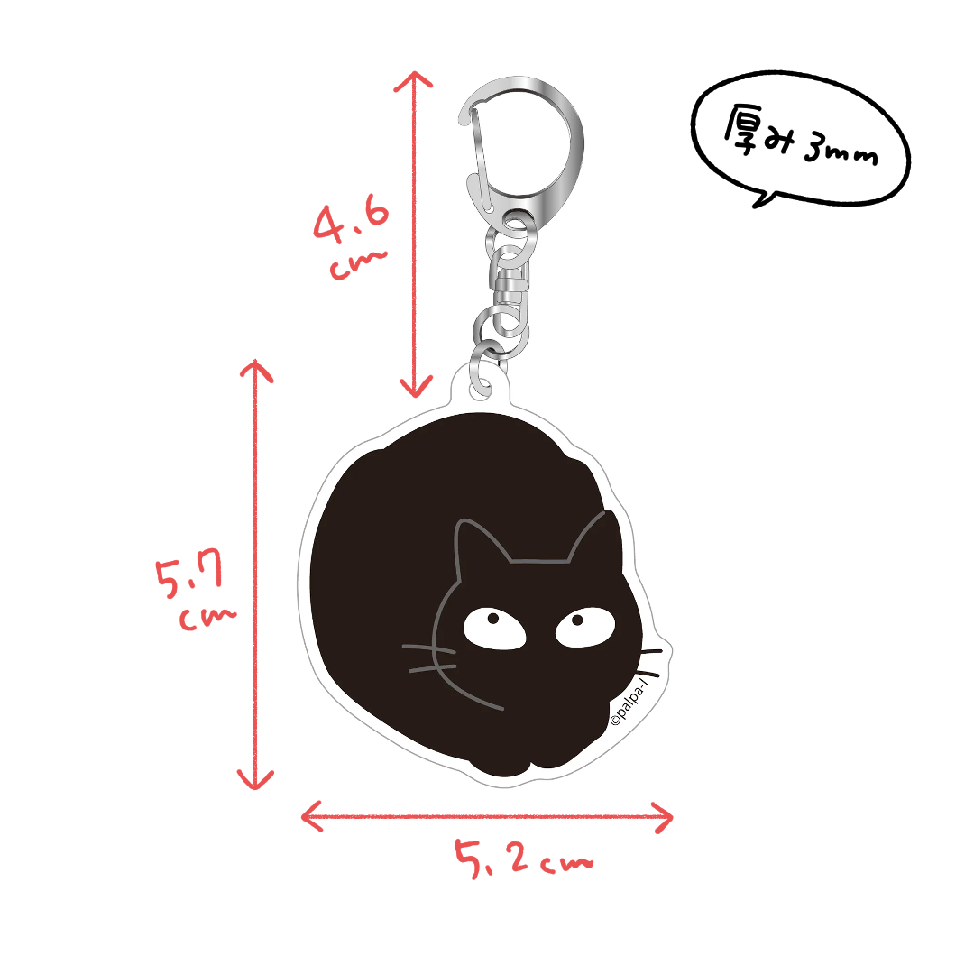 ナノアクキー(送料無料)